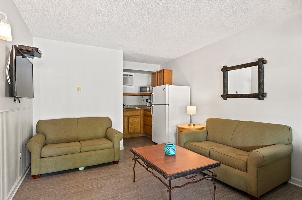 1BR-SUITE-LR_KITCH-2